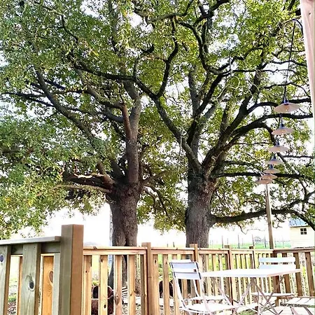 De L'etang Des Noues Nyaraló