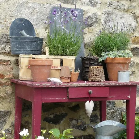 De L'etang Des Noues Nyaraló Cholet
