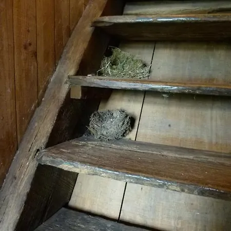 De L'etang Des Noues Дом отдыха *