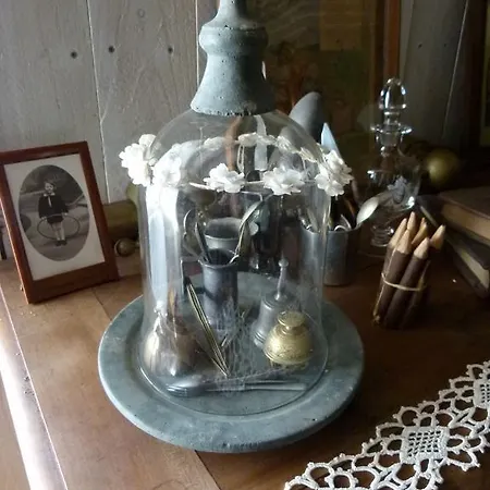 De L'etang Des Noues Nyaraló Cholet