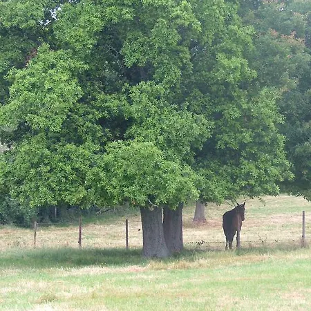 De L'etang Des Noues בית נופש