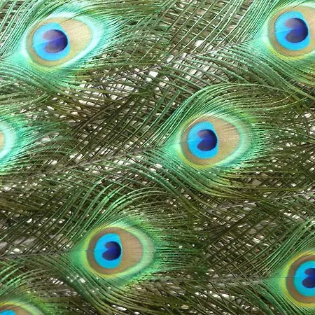 De L'etang Des Noues Дом отдыха *