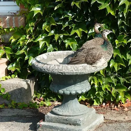 De L'etang Des Noues בית נופש שולה