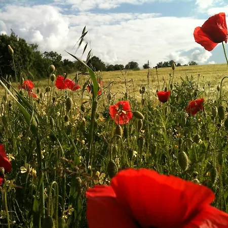 De L'etang Des Noues Nyaraló Cholet
