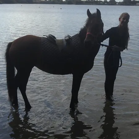 De L'etang Des Noues Nyaraló Cholet