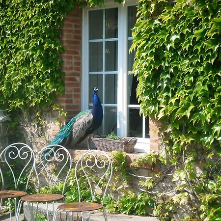 De L'etang Des Noues Cholet