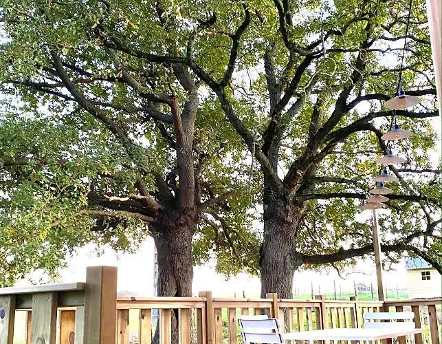 De L'etang Des Noues 別荘