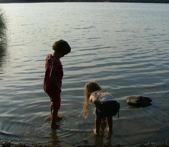 De L'etang Des Noues *