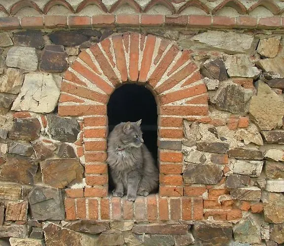 Feriehus De L'etang Des Noues Cholet