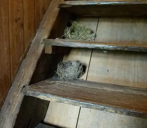 De L'etang Des Noues بيت للعطل *