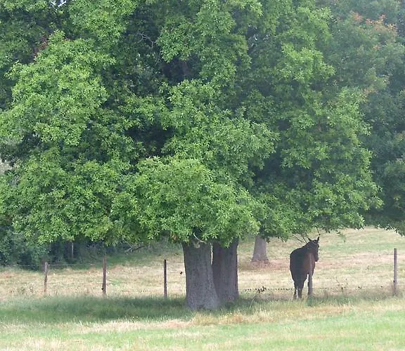 De L'etang Des Noues Feriehus