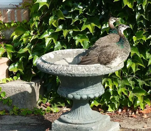 De L'etang Des Noues Feriehus Cholet