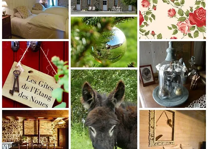 De L'etang Des Noues * ショレ