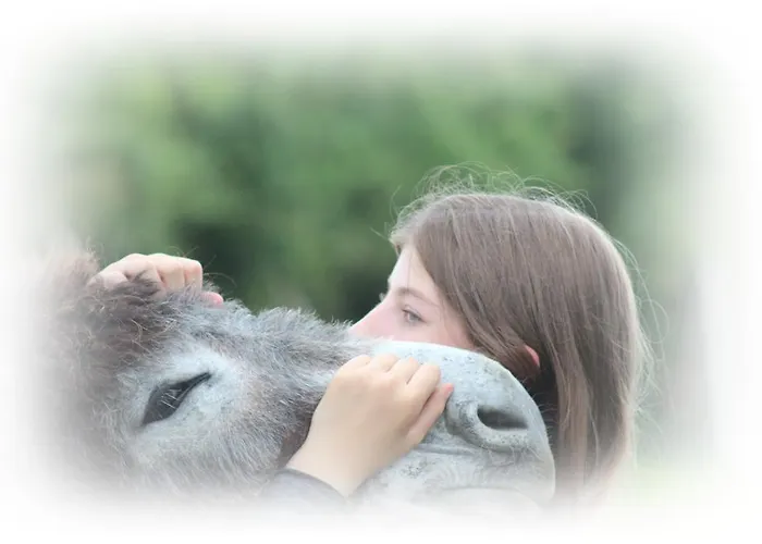 De L'etang Des Noues 別荘 *