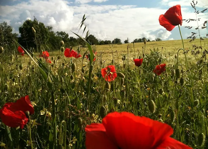 De L'etang Des Noues Feriehus Cholet