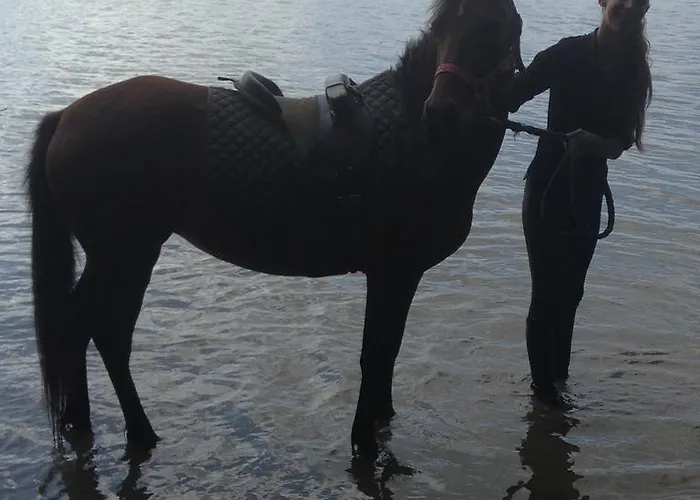 De L'etang Des Noues 別荘 ショレ