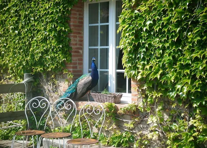 De L'etang Des Noues ショレ